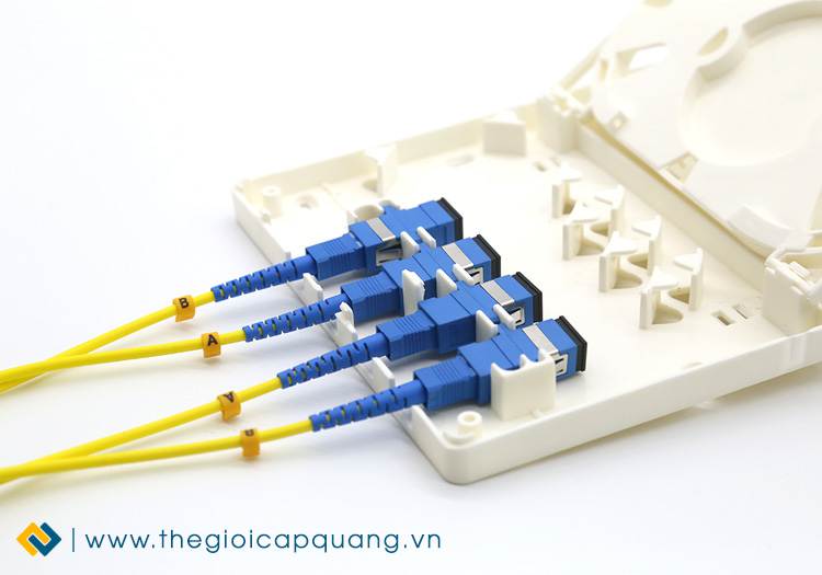 Hộp ODF 4FO treo tường trong nhà