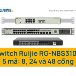 Switch Ruijie RG-NBS3100: 5 mã 8, 24 và 48 cổng khác nhau ở đâu, chọn mã nào
