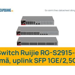 Switch Ruijie RG-S2915-L: 4 mã 10, 24, 48 cổng với uplink SFP 1GE/2,5GE khác nhau ở đâu