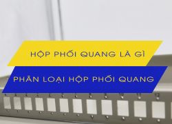 Hộp phối quang là gì? Phân loại hộp phối quang