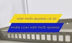 Hộp phối quang là gì? Phân loại hộp phối quang