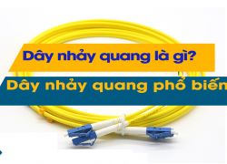 Dây nhảy quang là gì? Các loại dây nhảy quang phổ biến