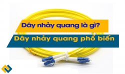 Dây nhảy quang là gì? Các loại dây nhảy quang phổ biến