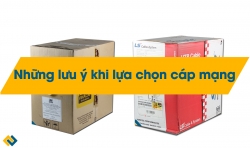 Cần lưu ý những gì khi lựa chọn dây cáp mạng?