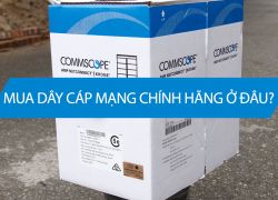 Mua dây cáp mạng ở đâu uy tín tại Hà Nội?