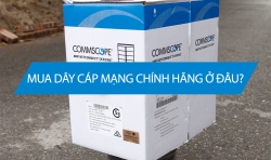 Mua dây cáp mạng ở đâu uy tín tại Hà Nội?