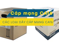Cáp mạng Cat6, Các loại cáp mạng Cat6 được ưa chuộng