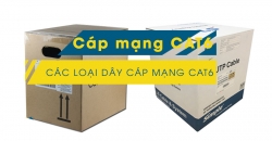 Cáp mạng Cat6, Các loại cáp mạng Cat6 được ưa chuộng